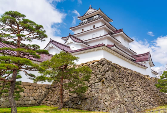 鹤城